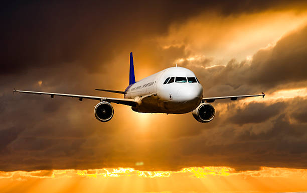 https://www.stago.com/sites/default/files/2026-03/book-United-Airlines-for-the-next-day.pdf