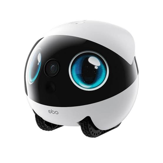 Enabot: Enabot Home Robot Review: Is This Smart Companion Worth It?