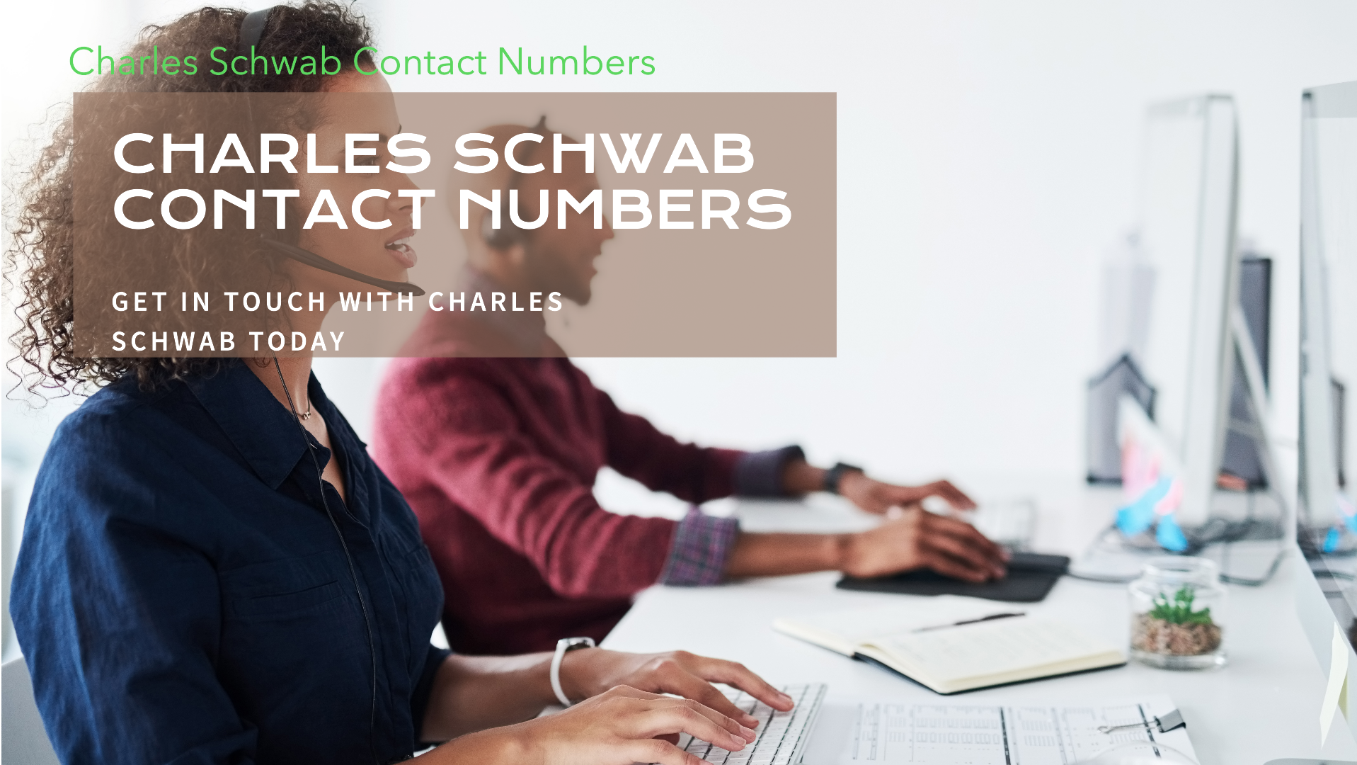 All You Need to Know About Charles Schwab Contact Number