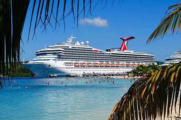 Contact Us | Carnival Cruise Booking 🚢 | Efficient and Professional Reservations - RoyaleAPI Discuss